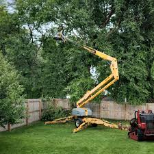 Best Leaf Removal  in Memphis, FL