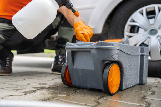 Best Tree Disease Treatment  in Memphis, FL